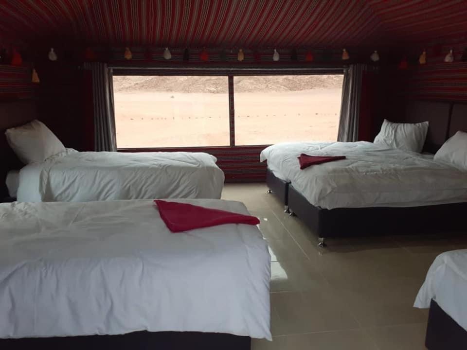Black Irish Camp And Tours Wadi Rum Eksteriør billede