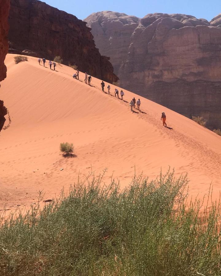 Black Irish Camp And Tours Wadi Rum Eksteriør billede
