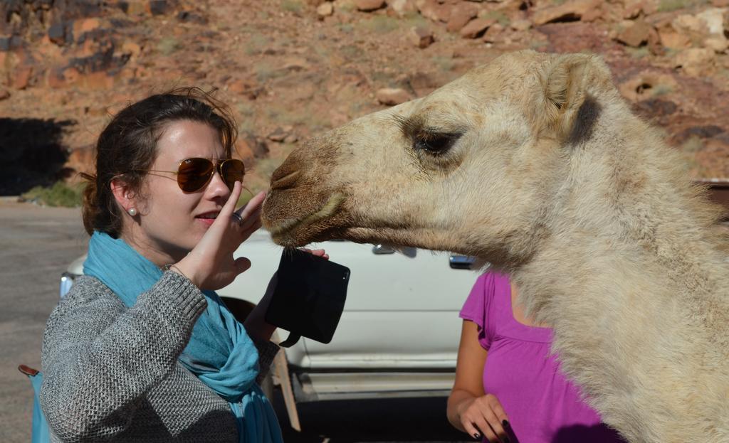 Black Irish Camp And Tours Wadi Rum Eksteriør billede